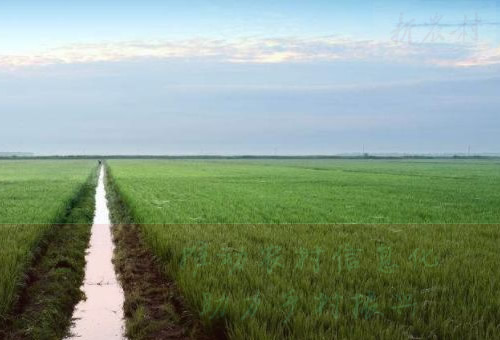 农业农村部部署开展全国肥料质量监督抽