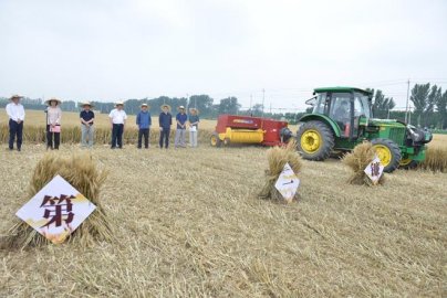 北京麦收第一村开镰预计收获70万公斤窦店优质小麦籽种