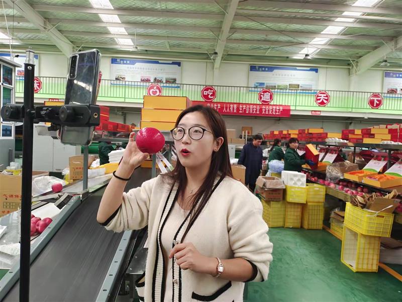中国苹果首届产销峰会暨甘肃（平凉）果品贸易大会开幕