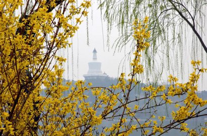 来和春天约会吧！北京市公园管理中心发