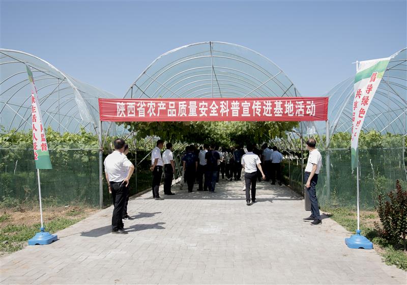 陕西省农产品质量安全科普宣传活动在礼泉县启动