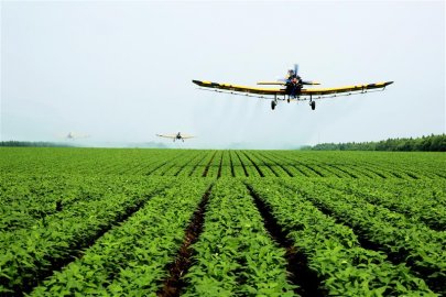 北大荒集团粮食作物一类苗面积超97% 夏管全面展开