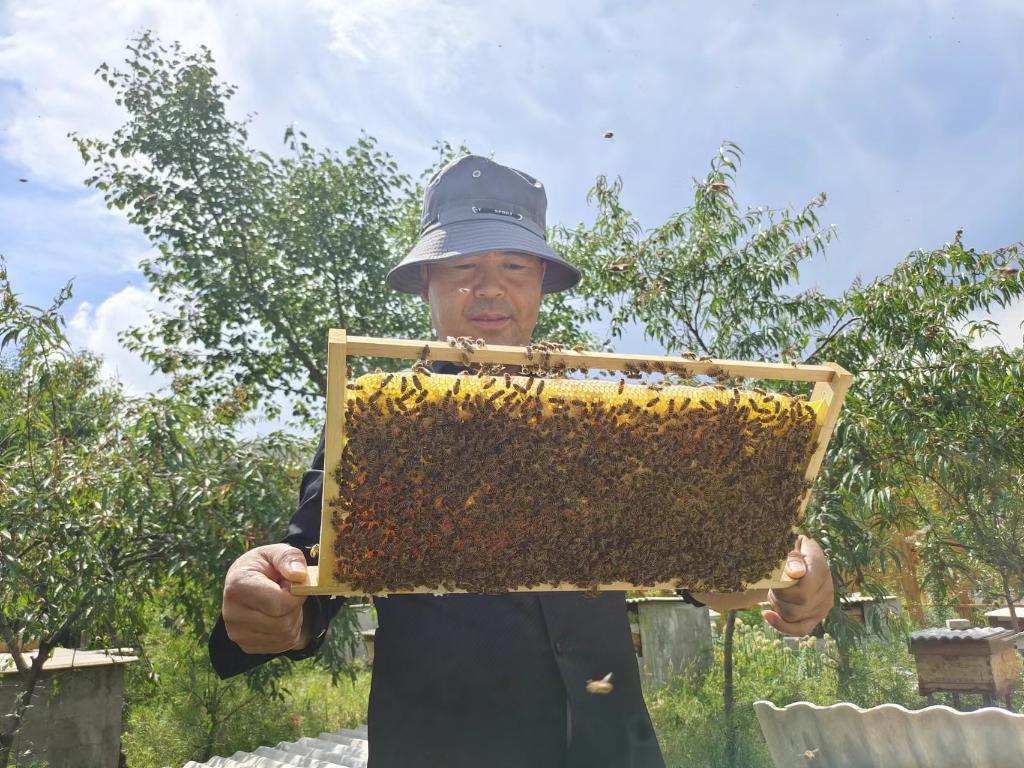 智慧养蜂助蜂农酿造“甜蜜事业”