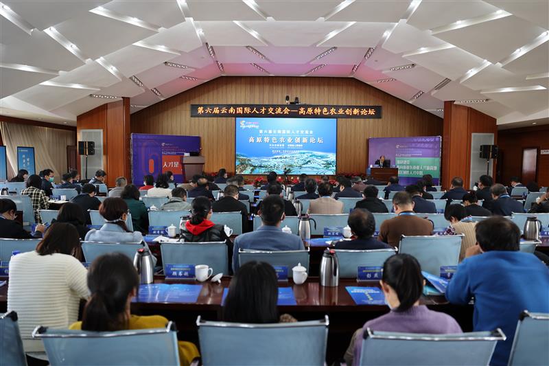 第六届云南国际人才交流会——高原特色农业创新论坛举行
