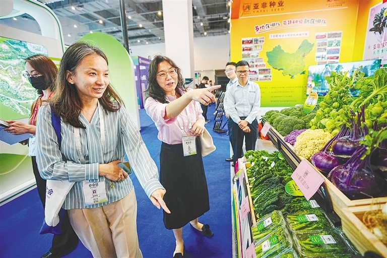 与会嘉宾正在观看展览的蔬菜。海南日报记者王程龙 摄
