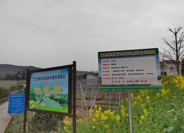 广元昭化：培育壮大新型农业经营主体 激发乡村振兴新动能