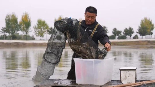 金秋蟹肥收获忙！河南息县项店镇张庄村