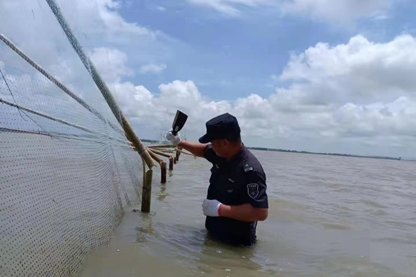 钦州渔政清理非法围网3100米