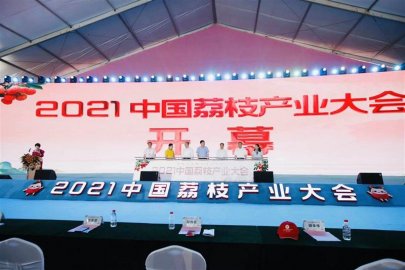 2021中国荔枝产业大会在茂名举行
