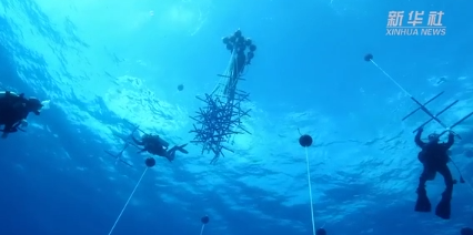 新华全媒+｜拯救珊瑚！我在海底“植树造