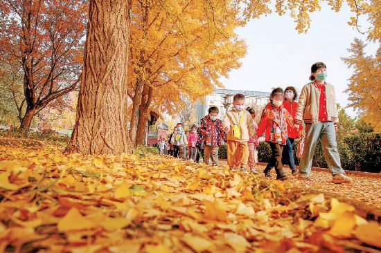北京千余公园景区最大限度保留秋景缓扫落叶方便市民亲近自然