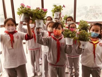 三万鲜花进校园小学生爱绿护绿助力丰台创森