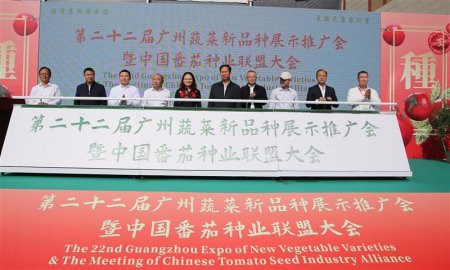 <b>第二十二届广州蔬菜新品种展示推广会暨中国番茄种业联盟大会开幕</b>