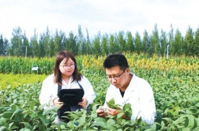农业基础性长期性科技工作进展提速