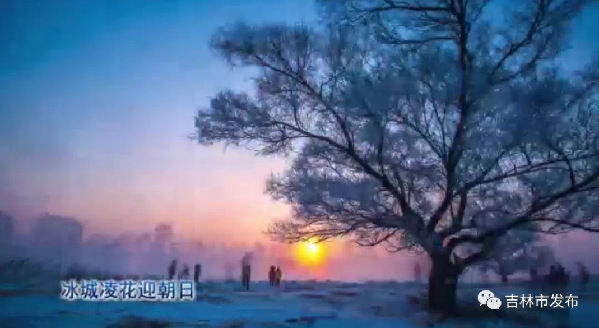 短视频 | 北国江城欢迎您 到我们吉林赏雾