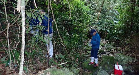 中国热科院揭示海南热带雨林和橡胶林土壤微生物差异