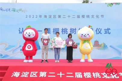 ​北京海淀第二十二届樱桃文化节开幕