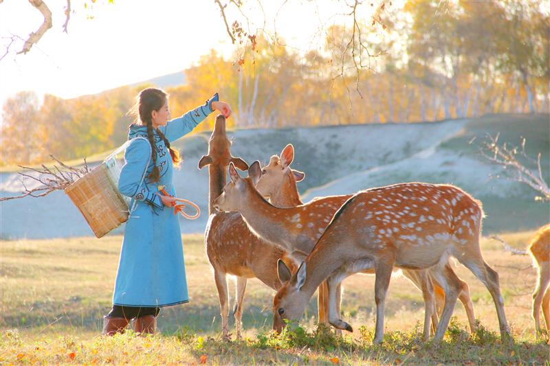 内蒙古乌兰布统：感受人与自然和谐之美