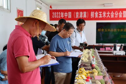 北京延庆举办鲜食玉米节 助力全产业链升级