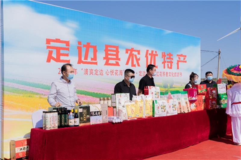 中国·定边第五届红花荞麦文化旅游节启动