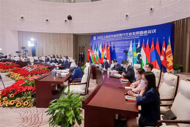 2022上海合作组织现代农业发展圆桌会议召开