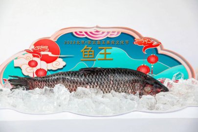 2022北京·密云鱼王美食文化节开幕：生态密云 吉庆有鱼