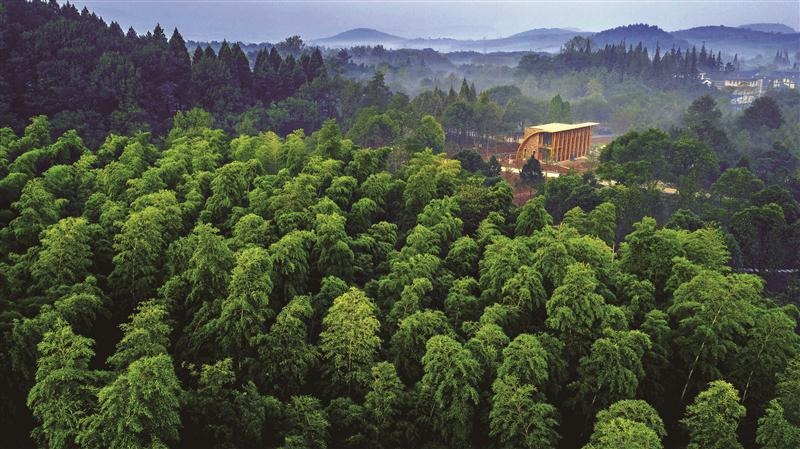 江苏无锡：以森林文化塑造森林旅游 宜兴国家森林公园正式开园