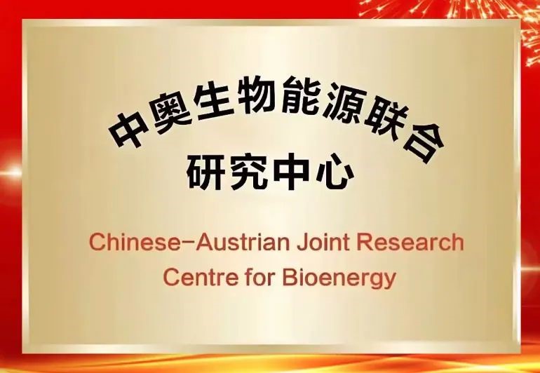 中奥生物能源联合研究中心暨北京化工大学“一带一路”全球合作研究院成立仪式在线上召开