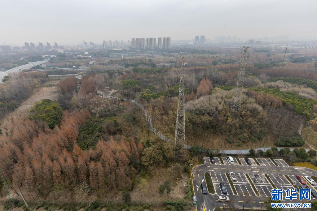 上海首批环城生态公园建成开放
