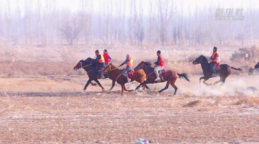 新疆莎车：马背上的“速度与激情”