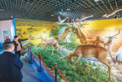 南海子麋鹿苑博物馆新展开幕