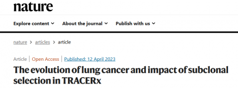 《自然》发七文揭示癌症研究重磅成果：科学家为肺癌演化绘制“分子画像”
