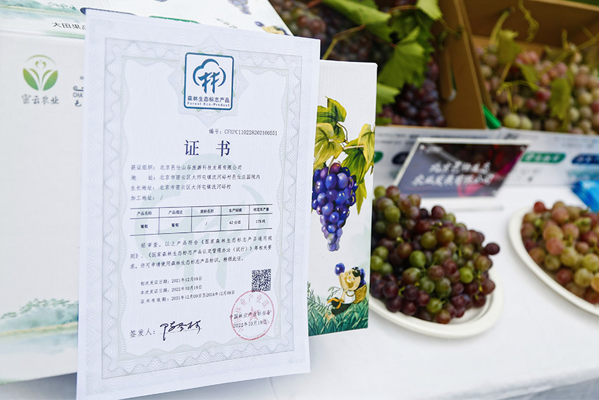 2023年北京密云葡萄酒文化节启幕:以酒兴业 密云打造“紫色名片”