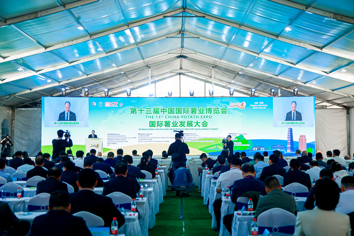 第十三届中国国际薯业博览会国际薯业发展大会在山东滕州举办