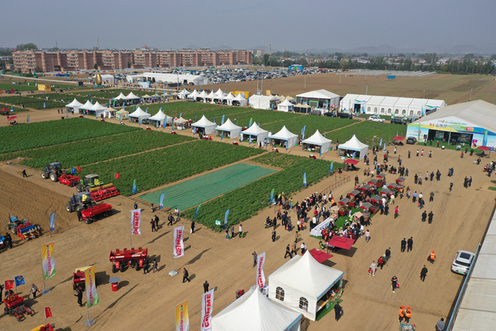 第十三届中国国际薯业博览会国际薯业发展大会在山东滕州举办