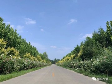邢台：威县交通局开展路域环境治理工作