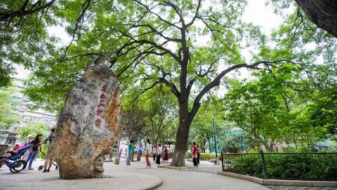北京打造古树社区 促进人与自然和谐共生