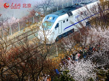 北京昌平：登长城赏桃花品美食 春风吹暖“春日经济”