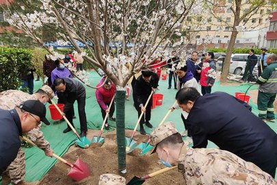 近10万人参与 西城区开展第40个首都全民义务植树日活动